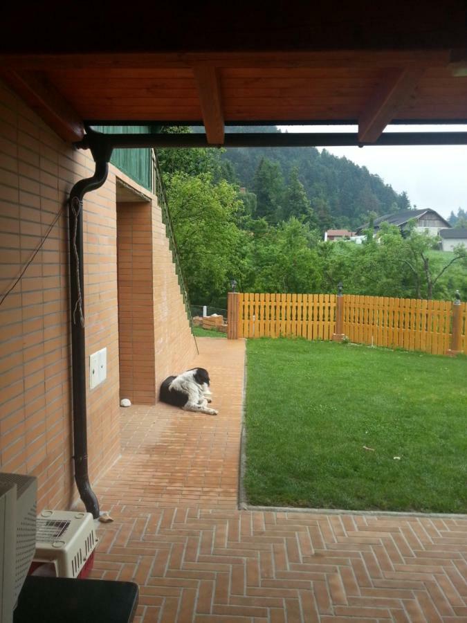 Sostanj Velenje Ravne Sobe Rooms Vrtacnik D O O Екстер'єр фото